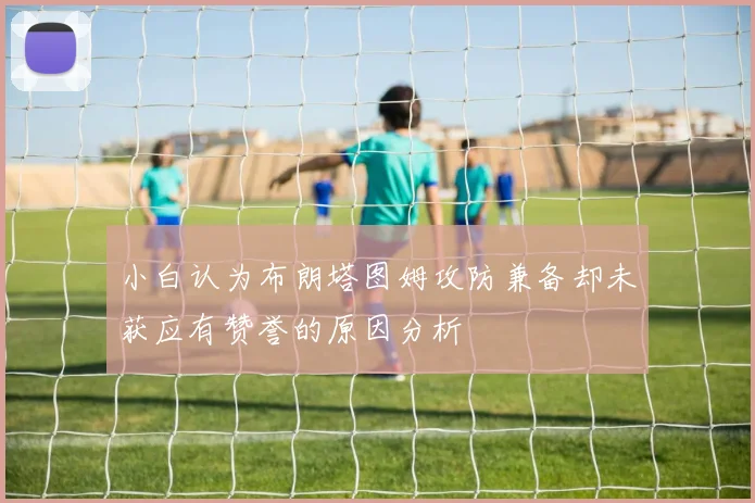 小白认为布朗塔图姆攻防兼备却未获应有赞誉的原因分析