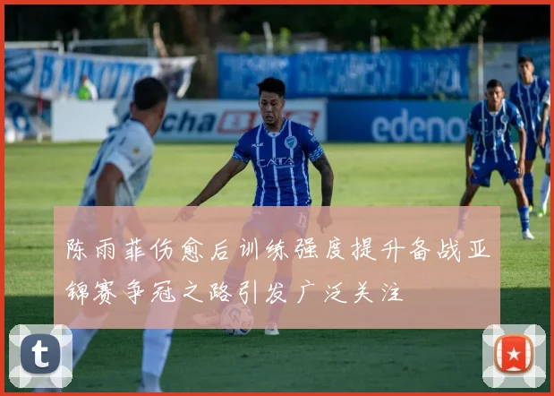 陈雨菲伤愈后训练强度提升备战亚锦赛争冠之路引发广泛关注